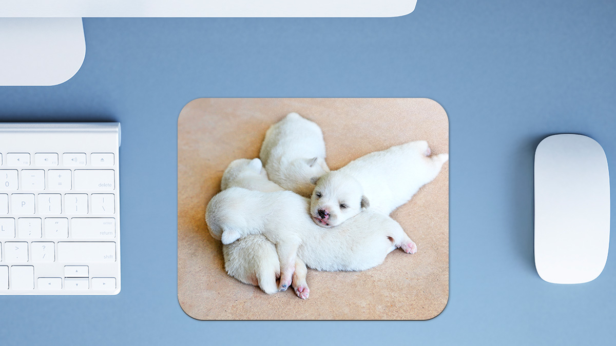 ���콺 �е� ��� �̹��� 4