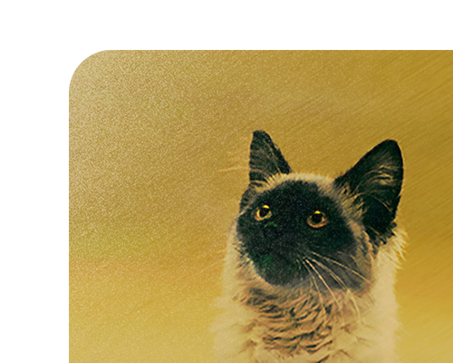 �μ� ǰ�� ����