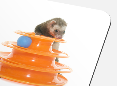 �ݷ����� ���콺�е�