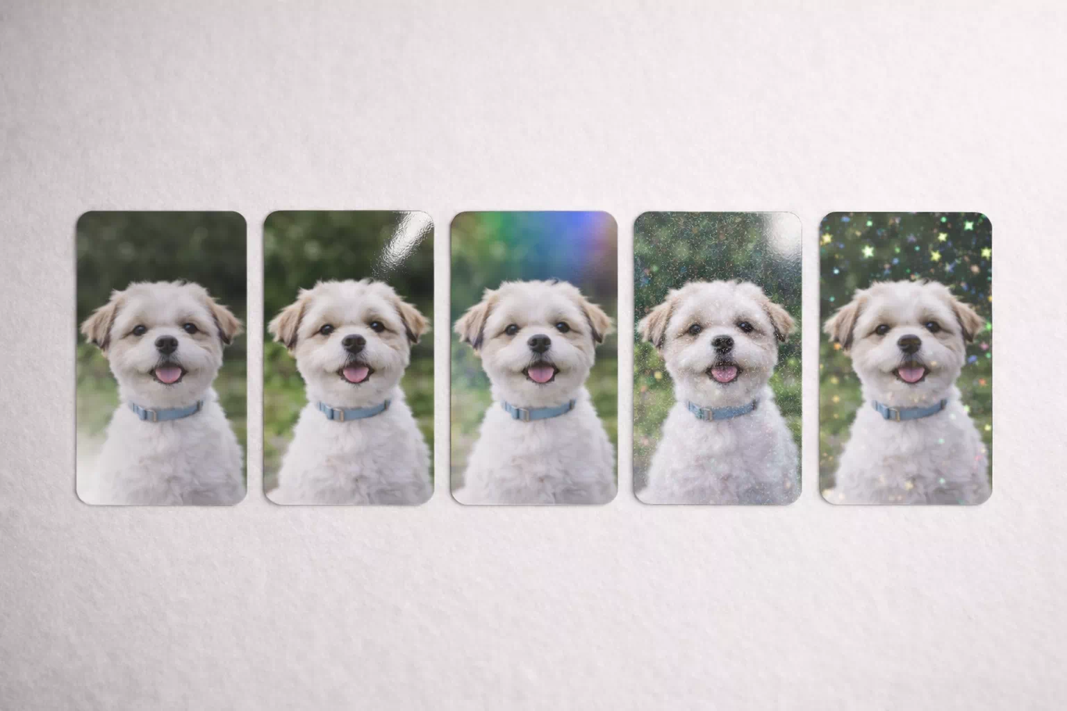 ÄÚÆÃ 5Á¾ ºñ±³ ¿¹½Ã À̹ÌÁö