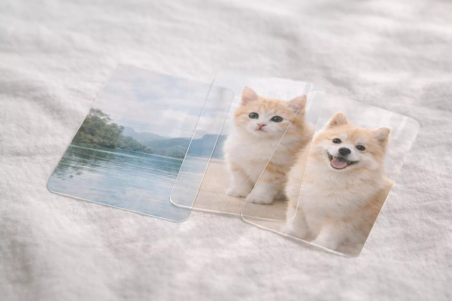 ��� �ٸ� �̹����� �� ��Ʈ